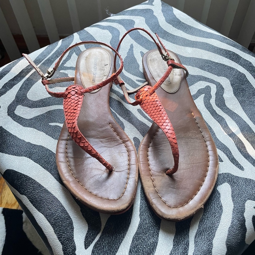 Alexandre Birman sandals